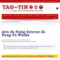 Arts du Poing Externe du Kung-Fu Wushu - TAO-YIN