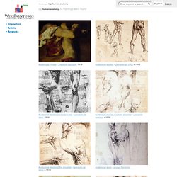 artworks tagged "human-anatomy"