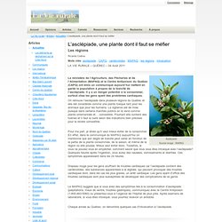 L’asclépiade, une plante dont il faut se méfier / Actualités / Articles / La Vie rurale - La Vie rurale