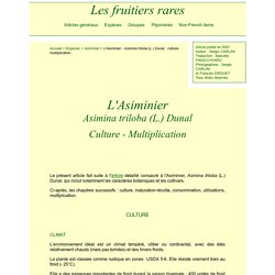 L'Asiminier - Asimina triloba (L.) Dunal : culture et multiplication
