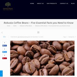 Five Aspects you Need to Ask from Robusta Coffee Beans Supplier