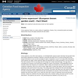 Helix aspersa* (European Brown Garden Snail) - Fact Sheet - Plants - Canadian Food Inspection Agency