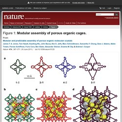 Modular assembly of porous organic cages. : Modular and predictable assembly of porous organic molecular crystals : Nature : Nature Research