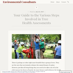 Your Guide to the Various Steps Involved in Tree Health Assessments – Environmental Consultants