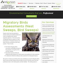Migratory Birds Assessments (Nest Sweeps, Bird Sweeps)