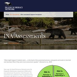 INA Assessments – Island Numeracy Network