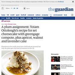 A plum assignment: Yotam Ottolenghi's recipe for set cheesecake with greengage compote, plus apricot, walnut and lavender cake