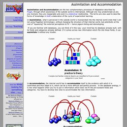 Assimilation and Accommodation