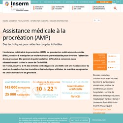 Assistance médicale à la procréation (AMP)