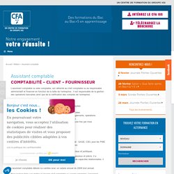 Assistant comptable - Fiche métier CFA IGS