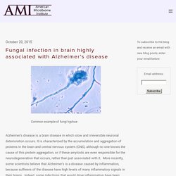 Fungal infection in brain highly associated with Alzheimer’s disease — The American Microbiome Institute
