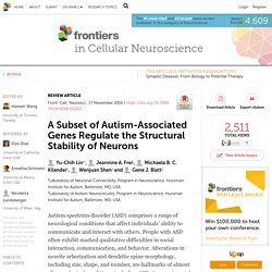 A Subset of Autism-Associated Genes Regulate the Structural Stability of Neurons