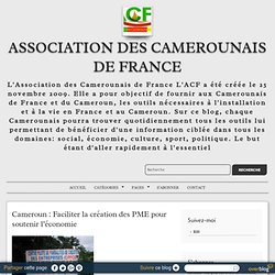 Cameroun : Faciliter la création des PME pour soutenir l’économie - Association des Camerounais de France