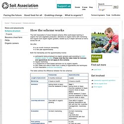 Apprenticeship scheme : Scheme structure