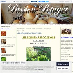 ASSOCIATION DES PLANTES AU POTAGER