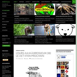 AVES FRANCE : Association de protection des espèces menacées
