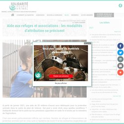 Aide aux refuges et associations : les modalités d’attribution se précisent