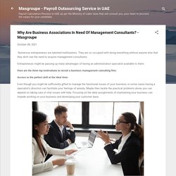 Why Are Business Associations In Need Of Management Consultants? - Masgroupe