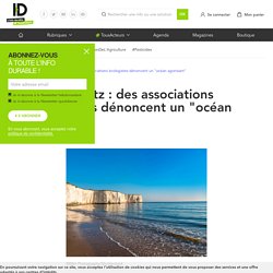 G7 à Biarritz : des associations écologistes dénoncent un "océan agonisant"