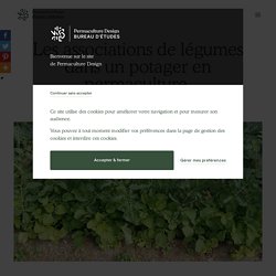 Les associations de légumes dans un potager en permaculture.