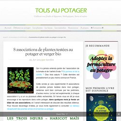 8 associations de plantes testées au potager et verger bio