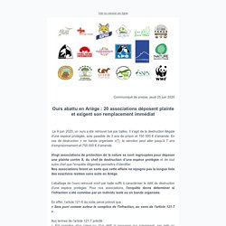 Ours abattu en Ariège : 20 associations déposent plainte et exigent son remplacement immédiat