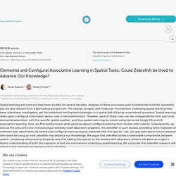 Elemental and Configural Associative Learning in Spatial Tasks: Could Zebrafish be Used to Advance Our Knowledge?