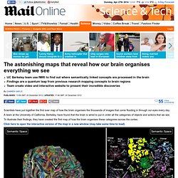 The astonishing maps that reveal how our brain organises everything we see