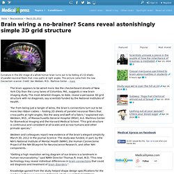 Brain wiring a no-brainer? Scans reveal astonishingly simple 3D grid structure