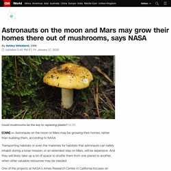 Astronauts on the moon and Mars may grow their homes there out of mushrooms, says NASA