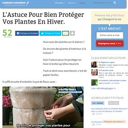L'Astuce Pour Bien Protéger Vos Plantes En Hiver.