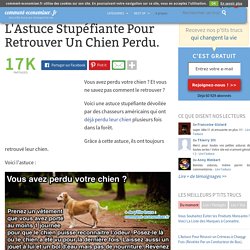 L'Astuce Stupéfiante Pour Retrouver Un Chien Perdu.