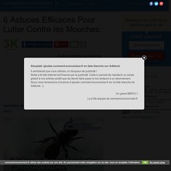 6 Astuces Efficaces Pour Lutter Contre les Mouches.
