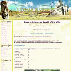 Trucs et Astuces de Breath of the Wild - Marchands et magasins - Le Palais de Zelda