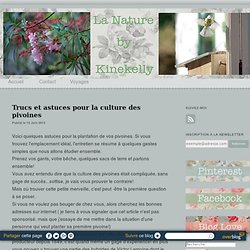 Trucs et astuces pour la culture des pivoines - La nature by Kinekelly