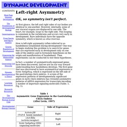 Asymmetry in Embryonic development