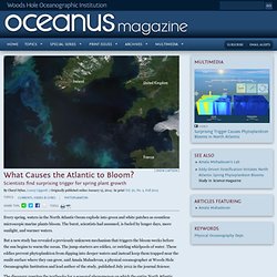 What Causes the Atlantic to Bloom? : Oceanus Magazine