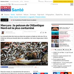 Mercure : le poisson de l'Atlantique Nord est le plus contaminé