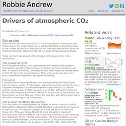 *****Atmospheric CO2: drivers (animation)
