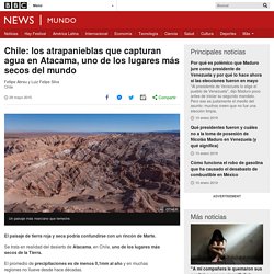 Chile: los atrapanieblas que capturan agua en Atacama, uno de los lugares más secos del mundo