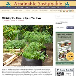 Utilizing the Garden Space You Have