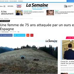 Une femme de 75 ans attaquée par un ours en Espagne - La Semaine des Pyrénées