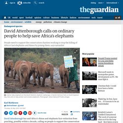 David Attenborough calls on ordinary people to help save Africa's elephants