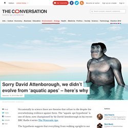 Refuting aquatic ape hypothesis