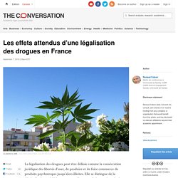 Les effets attendus d’une légalisation des drogues en France