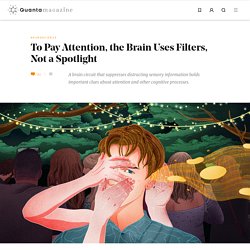 To Pay Attention, the Brain Uses Filters, Not a Spotlight