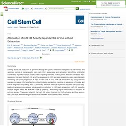 Cell Stem Cell - Attenuation of miR-126 Activity Expands HSC In Vivo without Exhaustion