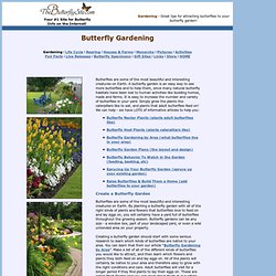 Butterfly Garden: Articles on Creating Butterfly Gardens: Plans, Plants, Attracting Butterflies, More.