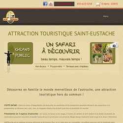 Attraction touristique Saint-Eustache - Ferme d'autruche