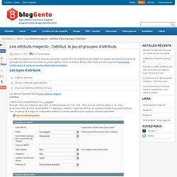 Les attributs magento : l'attribut, le jeu et groupes d'attributs